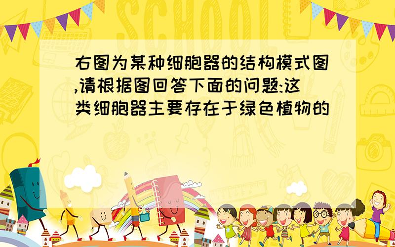 右图为某种细胞器的结构模式图,请根据图回答下面的问题:这类细胞器主要存在于绿色植物的_____细和幼茎的皮层中,其主要功能是进行什_____的场所;如果将其破碎离心,那么试管的下层为___色,