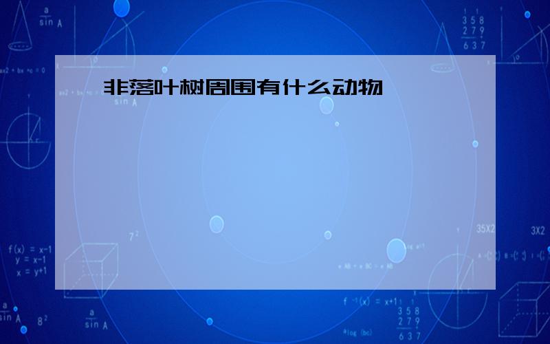 非落叶树周围有什么动物