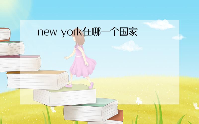 new york在哪一个国家