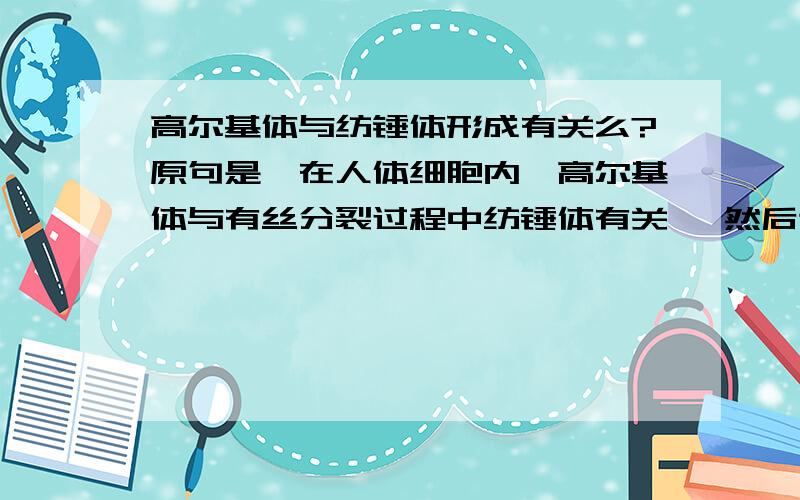 高尔基体与纺锤体形成有关么?原句是【在人体细胞内,高尔基体与有丝分裂过程中纺锤体有关】 然后这个选项是错误的,纺锤丝的形成和高尔基体有关是没有错,但是它和纺锤体又是什么关系.