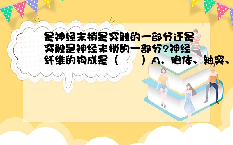 是神经末梢是突触的一部分还是突触是神经末梢的一部分?神经纤维的构成是（　　）A．胞体、轴突、树突    B．长的树突和胞体    C．树突和轴突    D．轴突、长的树突和髓鞘    这题答案是D