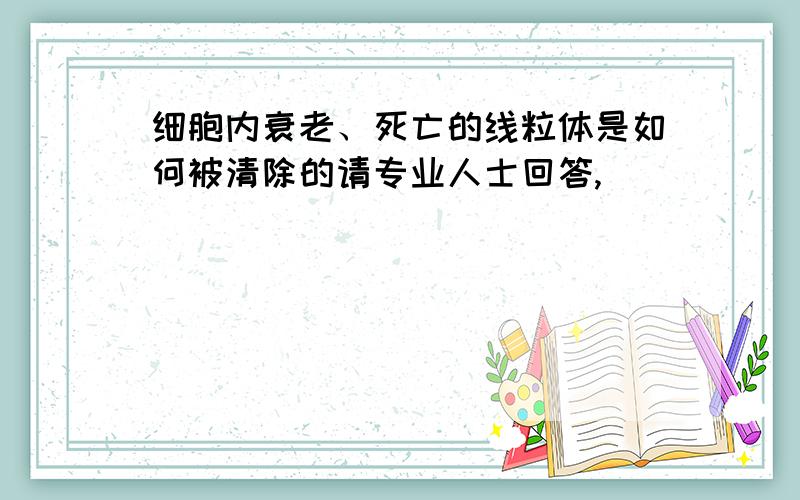 细胞内衰老、死亡的线粒体是如何被清除的请专业人士回答,