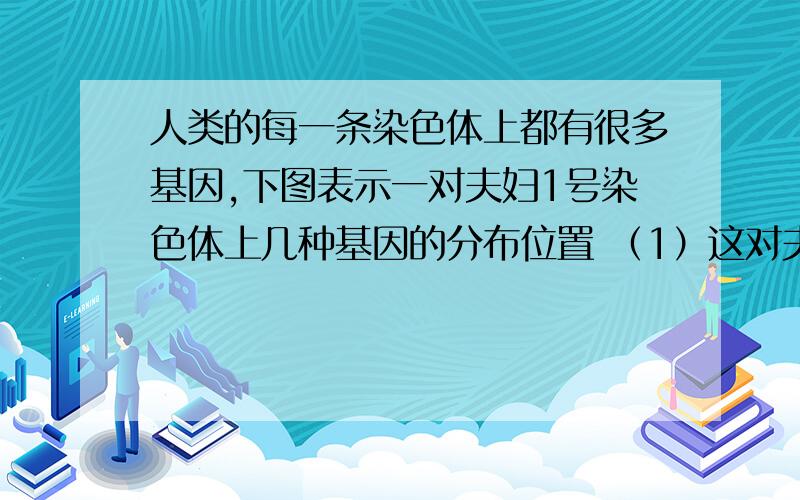 人类的每一条染色体上都有很多基因,下图表示一对夫妇1号染色体上几种基因的分布位置 （1）这对夫妇的孩子人类的每一条染色体上都有很多基因,下图表示一对夫妇1号染色体上几种基因的