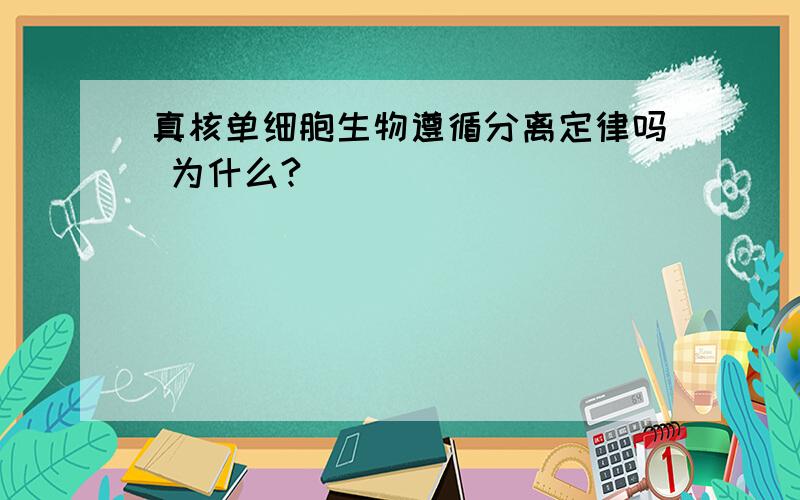 真核单细胞生物遵循分离定律吗 为什么?