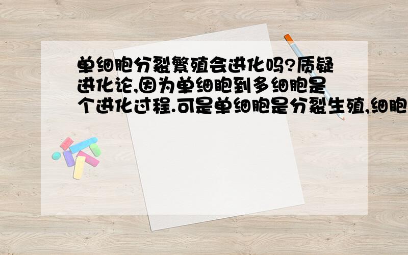 单细胞分裂繁殖会进化吗?质疑进化论,因为单细胞到多细胞是个进化过程.可是单细胞是分裂生殖,细胞核是完全一样,没有进化啊!怎么跳到多细胞的?所以生命之源应该是多细胞,只有这样生命