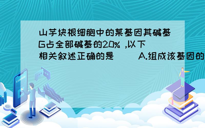 山芋块根细胞中的某基因其碱基G占全部碱基的20% ,以下相关叙述正确的是() A.组成该基因的一条脱氧核甘酸链中A:G＝3:2 B.该细胞在含15N培养液分裂一次后,子细胞中全部染色体都含15N C.基因中