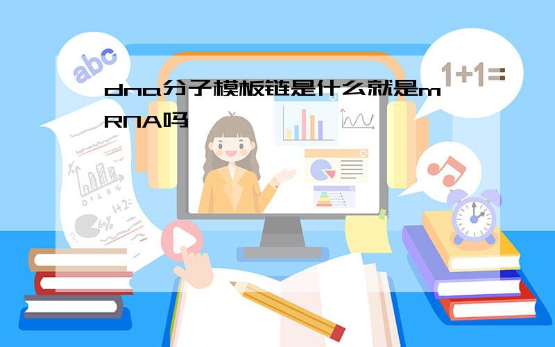 dna分子模板链是什么就是mRNA吗