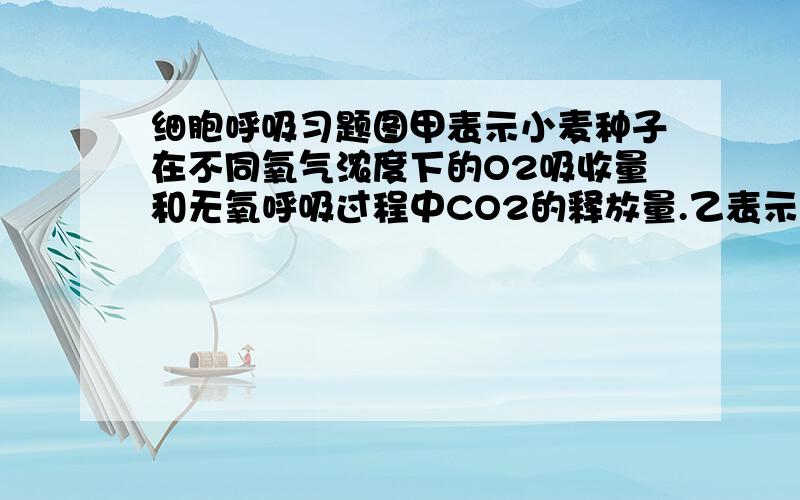 细胞呼吸习题图甲表示小麦种子在不同氧气浓度下的O2吸收量和无氧呼吸过程中CO2的释放量.乙表示等量的A、B两份小麦种子分别置于两个容积相同、密封的广口瓶内,各加入适量(等量)的水,在