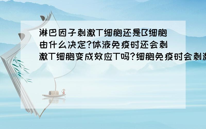 淋巴因子刺激T细胞还是B细胞由什么决定?体液免疫时还会刺激T细胞变成效应T吗?细胞免疫时会刺激B分化成浆细胞吗?那淋巴因子怎么知道该刺激哪种细胞进行哪种免疫? 拜托你们看清楚，实质