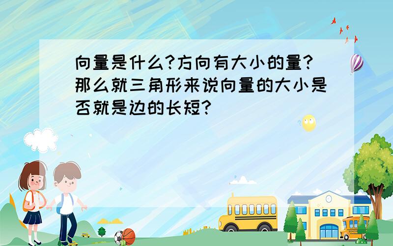 向量是什么?方向有大小的量?那么就三角形来说向量的大小是否就是边的长短?