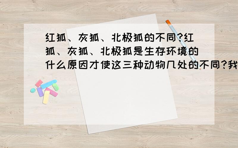 红狐、灰狐、北极狐的不同?红狐、灰狐、北极狐是生存环境的什么原因才使这三种动物几处的不同?我要详细准确的!红狐、灰狐、北极狐是生存环境的什么原因才使这三种动物几处的不同？