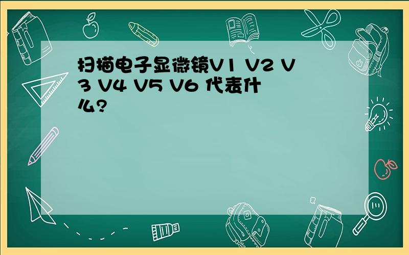 扫描电子显微镜V1 V2 V3 V4 V5 V6 代表什么?