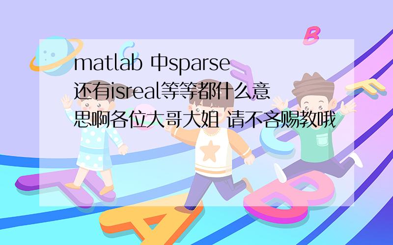 matlab 中sparse还有isreal等等都什么意思啊各位大哥大姐 请不吝赐教哦