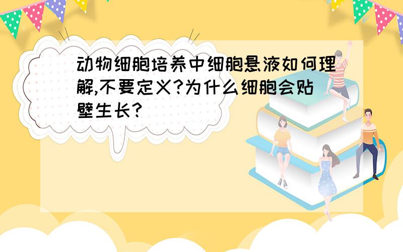 动物细胞培养中细胞悬液如何理解,不要定义?为什么细胞会贴壁生长?