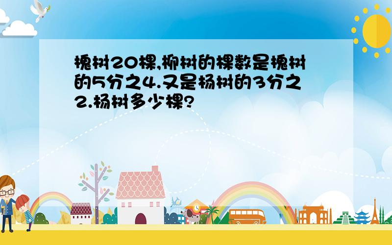 槐树20棵,柳树的棵数是槐树的5分之4.又是杨树的3分之2.杨树多少棵?