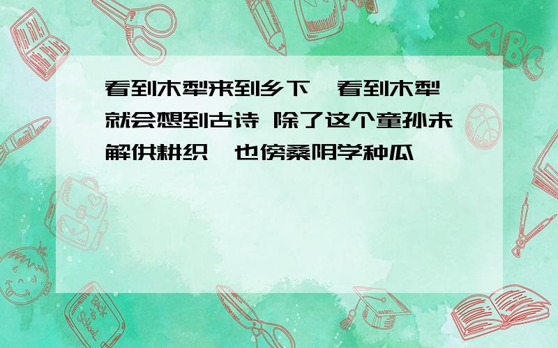 看到木犁来到乡下,看到木犁,就会想到古诗 除了这个童孙未解供耕织,也傍桑阴学种瓜