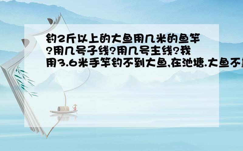 钓2斤以上的大鱼用几米的鱼竿?用几号子线?用几号主线?我用3.6米手竿钓不到大鱼,在池塘.大鱼不靠岸,