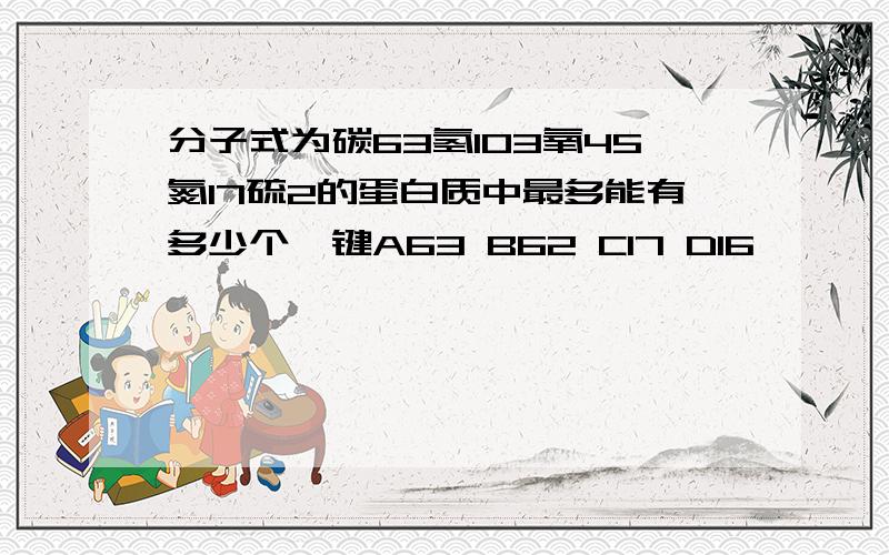 分子式为碳63氢103氧45氮17硫2的蛋白质中最多能有多少个肽键A63 B62 C17 D16