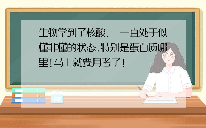 生物学到了核酸.　一直处于似懂非懂的状态.特别是蛋白质哪里!马上就要月考了!