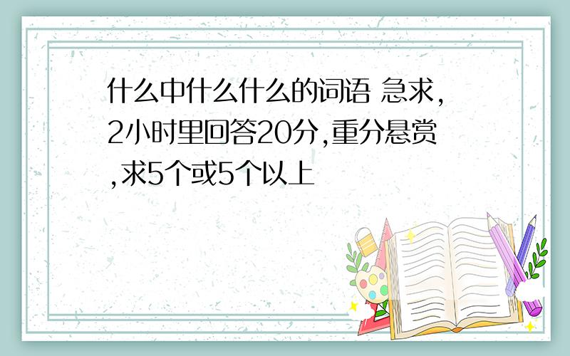 什么中什么什么的词语 急求,2小时里回答20分,重分悬赏,求5个或5个以上