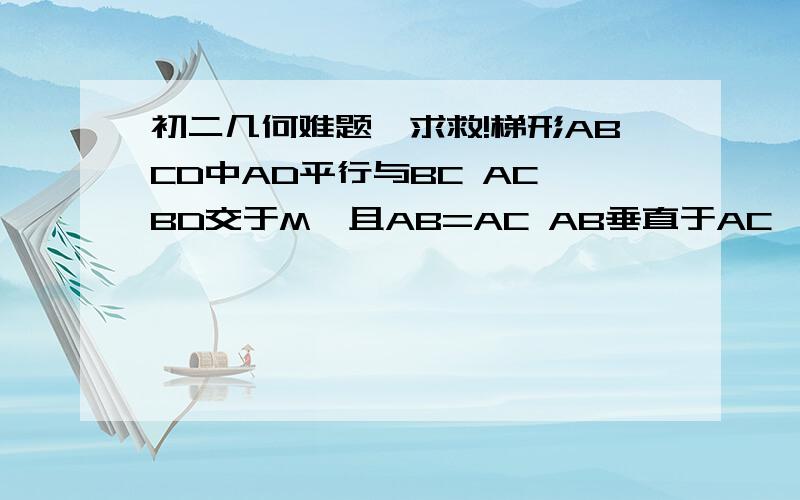 初二几何难题,求救!梯形ABCD中AD平行与BC AC,BD交于M,且AB=AC AB垂直于AC,BC=BD.那么,对角线的交角AMB=?