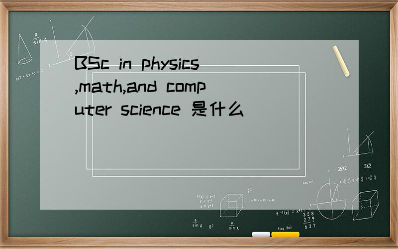 BSc in physics,math,and computer science 是什么