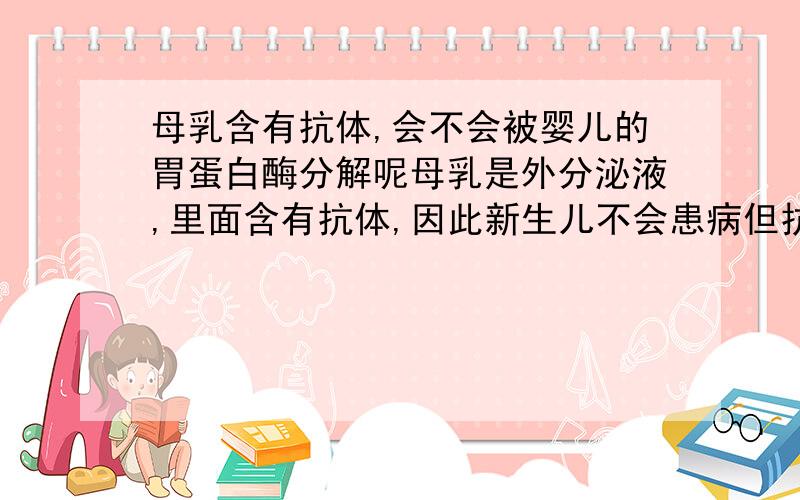 母乳含有抗体,会不会被婴儿的胃蛋白酶分解呢母乳是外分泌液,里面含有抗体,因此新生儿不会患病但抗体是球蛋白,为什么没有被胃蛋白酶消化分解而被婴儿吸收了呢?