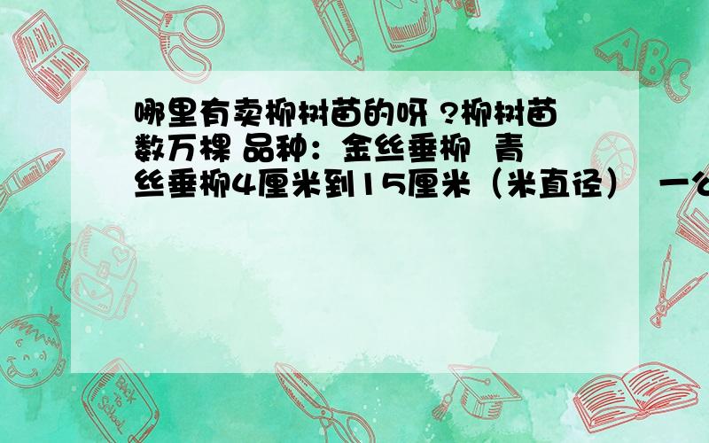 哪里有卖柳树苗的呀 ?柳树苗数万棵 品种：金丝垂柳  青丝垂柳4厘米到15厘米（米直径）  一公分6元  装车价3厘米以下 一厘米4元另有柳芽0.25元一株   河南省巩义市康店镇马峪沟村