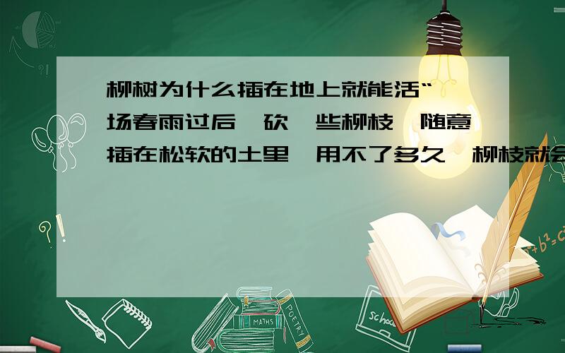 柳树为什么插在地上就能活“一场春雨过后,砍一些柳枝,随意插在松软的土里,用不了多久,柳枝就会慢慢的发芽.