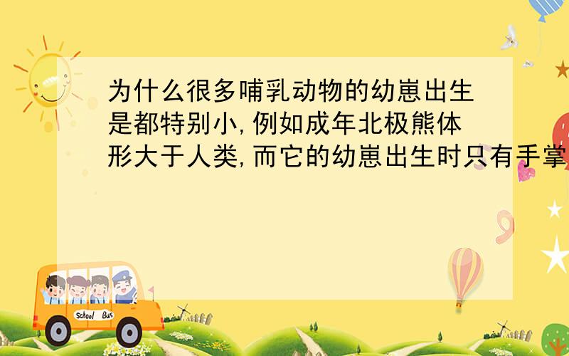 为什么很多哺乳动物的幼崽出生是都特别小,例如成年北极熊体形大于人类,而它的幼崽出生时只有手掌大小,而�