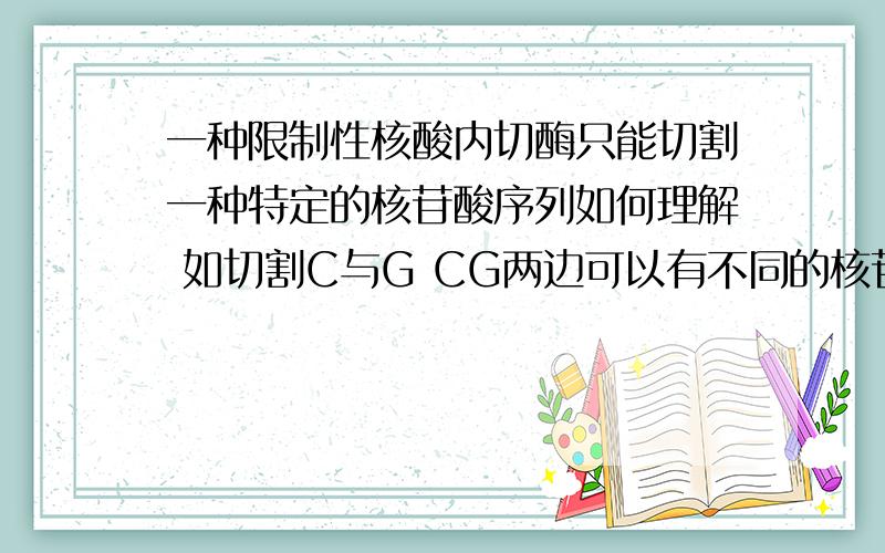 一种限制性核酸内切酶只能切割一种特定的核苷酸序列如何理解 如切割C与G CG两边可以有不同的核苷酸序列啊