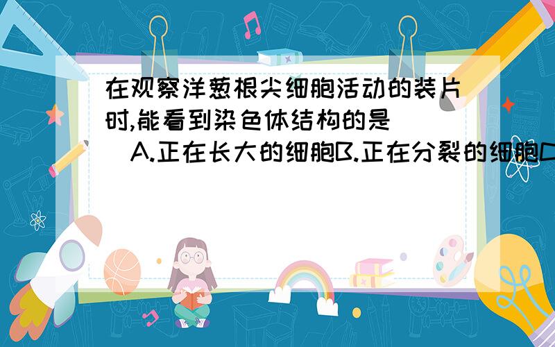 在观察洋葱根尖细胞活动的装片时,能看到染色体结构的是( )A.正在长大的细胞B.正在分裂的细胞C.正..在观察洋葱根尖细胞活动的装片时,能看到染色体结构的是( )A.正在长大的细胞B.正在分裂