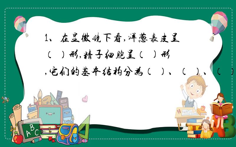 1、在显微镜下看,洋葱表皮呈（ ）形,精子细胞呈（ )形,它们的基本结构分为（ ）、（ ）、（ ）三个部分1、在显微镜下看,洋葱表皮呈（ ）形,精子细胞呈（ )形,它们的基本结构分为（ ）、