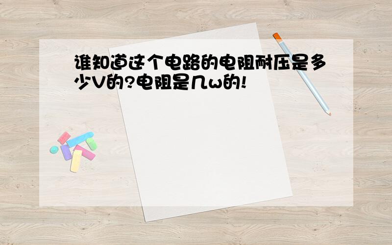 谁知道这个电路的电阻耐压是多少V的?电阻是几w的!