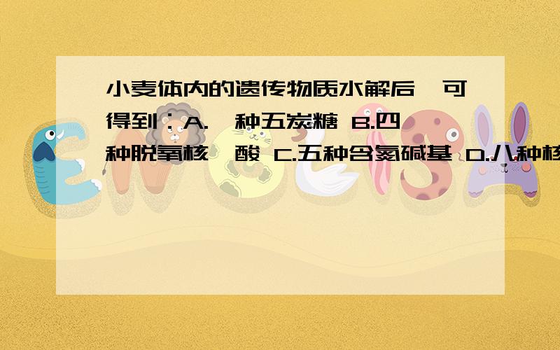 小麦体内的遗传物质水解后,可得到：A.一种五炭糖 B.四种脱氧核苷酸 C.五种含氮碱基 D.八种核苷酸那其他为什么不行?