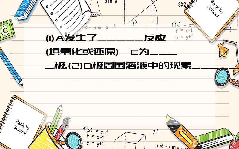 (1)A发生了_____反应(填氧化或还原),C为____极.(2)D极周围溶液中的现象_______________________,原因是___________________________________.(3)当A电极上的金属质量减少1.3g,则C电极上产生气体在标准状况下的体