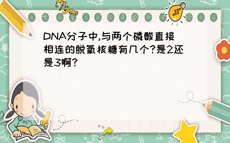 DNA分子中,与两个磷酸直接相连的脱氧核糖有几个?是2还是3啊?