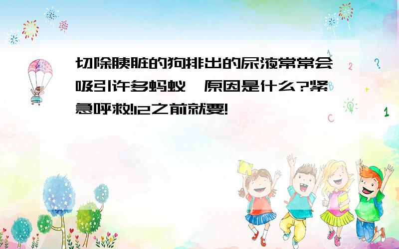 切除胰脏的狗排出的尿液常常会吸引许多蚂蚁,原因是什么?紧急呼救!12之前就要!