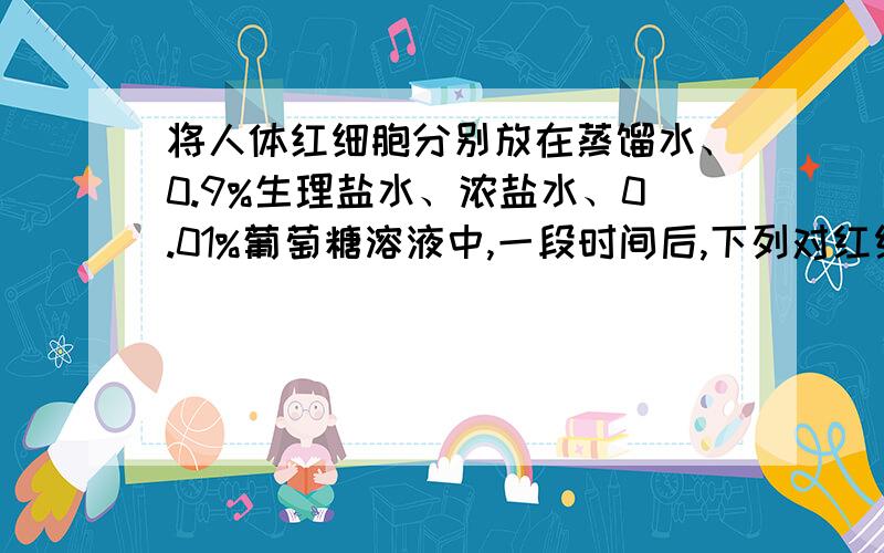 将人体红细胞分别放在蒸馏水、0.9%生理盐水、浓盐水、0.01%葡萄糖溶液中,一段时间后,下列对红细胞形态变化的叙述不正确的是A蒸馏水中的红细胞无变化     B0.9%生理盐水中的红细胞无变化C