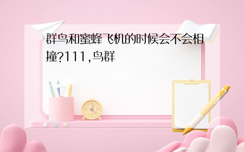 群鸟和蜜蜂飞机的时候会不会相撞?111,鸟群