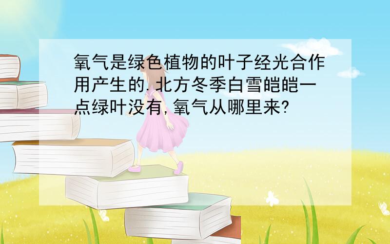 氧气是绿色植物的叶子经光合作用产生的.北方冬季白雪皑皑一点绿叶没有,氧气从哪里来?