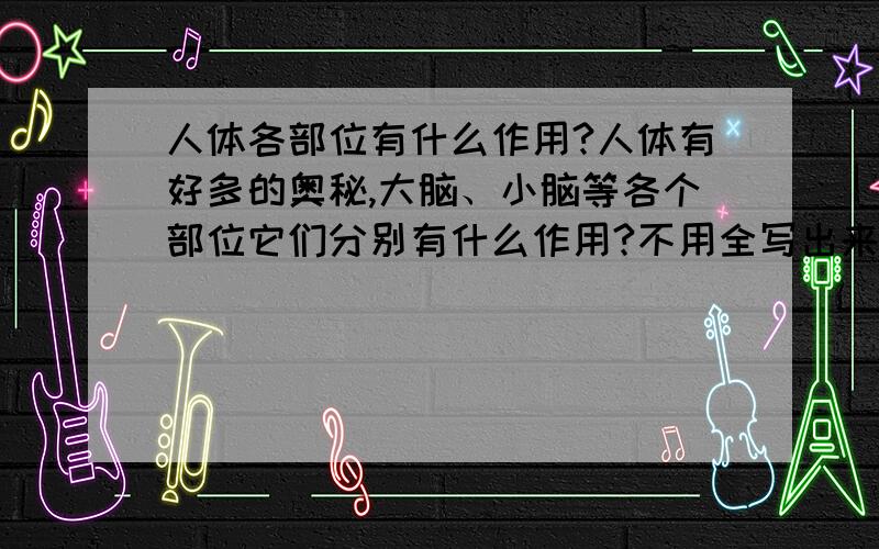 人体各部位有什么作用?人体有好多的奥秘,大脑、小脑等各个部位它们分别有什么作用?不用全写出来,只要有十条就够了!