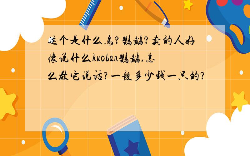 这个是什么鸟?鹦鹉?卖的人好像说什么huoban鹦鹉,怎么教它说话?一般多少钱一只的?