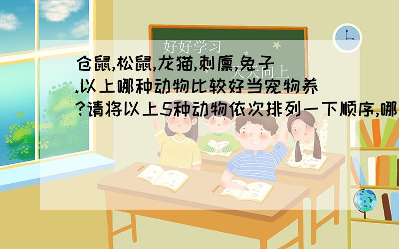 仓鼠,松鼠,龙猫,刺猬,兔子.以上哪种动物比较好当宠物养?请将以上5种动物依次排列一下顺序,哪个最好养,哪个最难养!