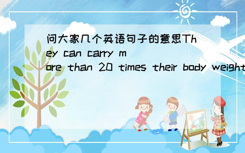 问大家几个英语句子的意思They can carry more than 20 times their body weight.Ants work in a team.请把weight,team在句中的意思作解释,并最后把句子的意思说出来.我总觉得第一个句子里有个句型.请问大家有