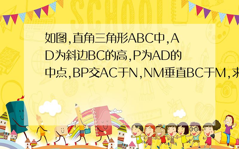 如图,直角三角形ABC中,AD为斜边BC的高,P为AD的中点,BP交AC于N,NM垂直BC于M,求证：MN²=AN×NC