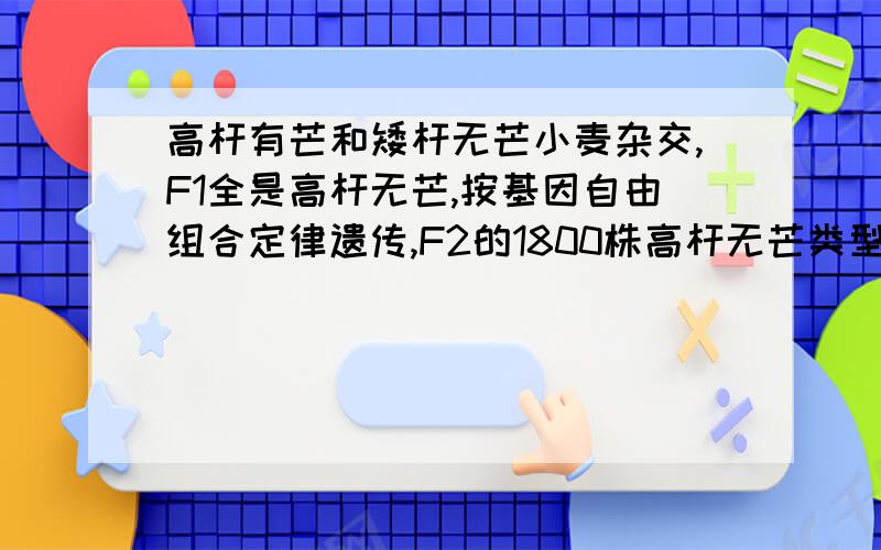 高杆有芒和矮杆无芒小麦杂交,F1全是高杆无芒,按基因自由组合定律遗传,F2的1800株高杆无芒类型中,能稳定遗传的个体及双杂合的个体数分别是(B) A.450、900 B.200、800 C.112、450 D112、900