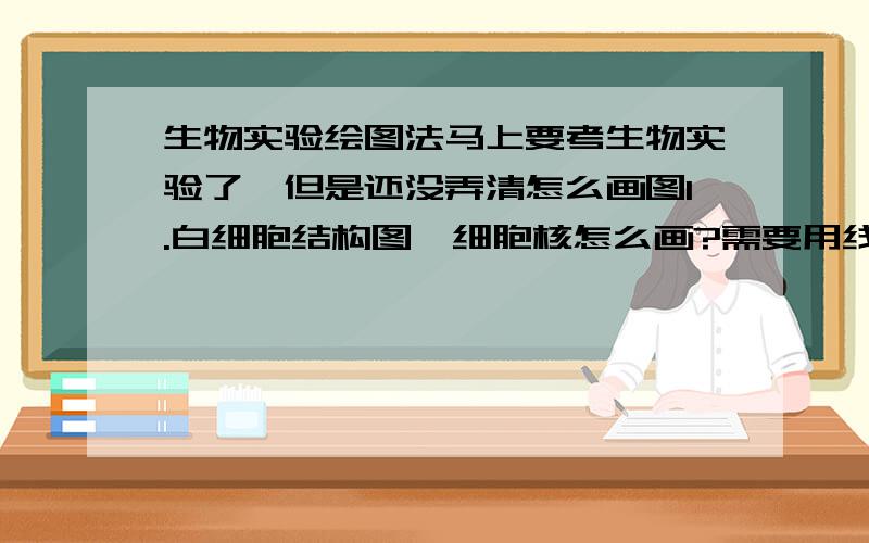 生物实验绘图法马上要考生物实验了,但是还没弄清怎么画图1.白细胞结构图,细胞核怎么画?需要用线圈出来吗?细胞质呢?2.大豆种子结构图,子叶怎么画,胚芽胚轴胚根怎么画?最好附个图来,要自