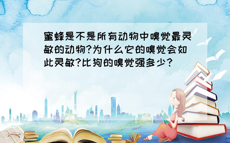 蜜蜂是不是所有动物中嗅觉最灵敏的动物?为什么它的嗅觉会如此灵敏?比狗的嗅觉强多少?