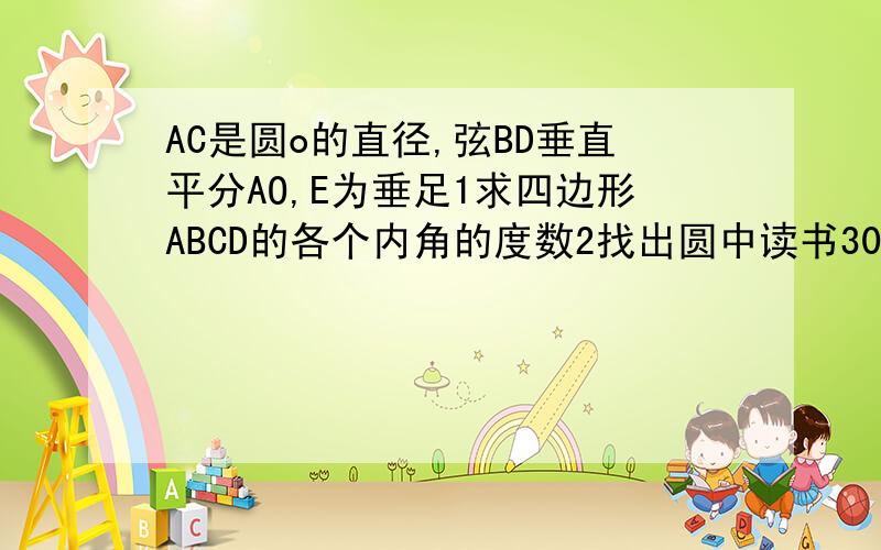 AC是圆o的直径,弦BD垂直平分AO,E为垂足1求四边形ABCD的各个内角的度数2找出圆中读书30°的所有的角3若B为2厘米,求弓形BAD的高AE（弧BAD为优弧,BD再园内上方部位大哥大姐们，9点半前一定啊，我